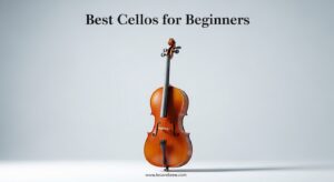Best Cellos for Beginners