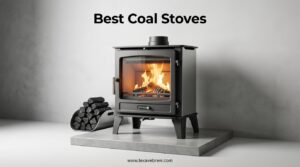 Best Coal Stoves