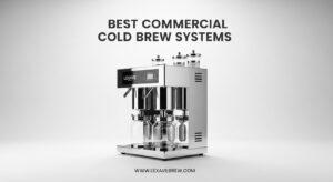 Best Commercial Cold Brew Systems