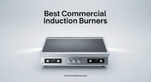 Best Commercial Induction Burners