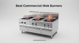 Best Commercial Wok Burners