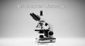 Best Compound Microscopes