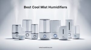 Best Cool Mist Humidifiers