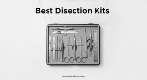 Best Dissection Kits