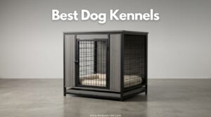 Best Dog Kennels