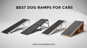 Best Dog Ramps for Cars