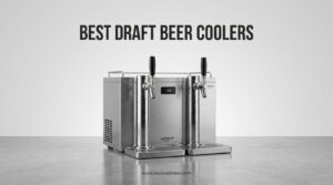 Best Draft Beer Coolers