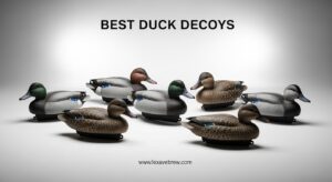 Best Duck Decoys