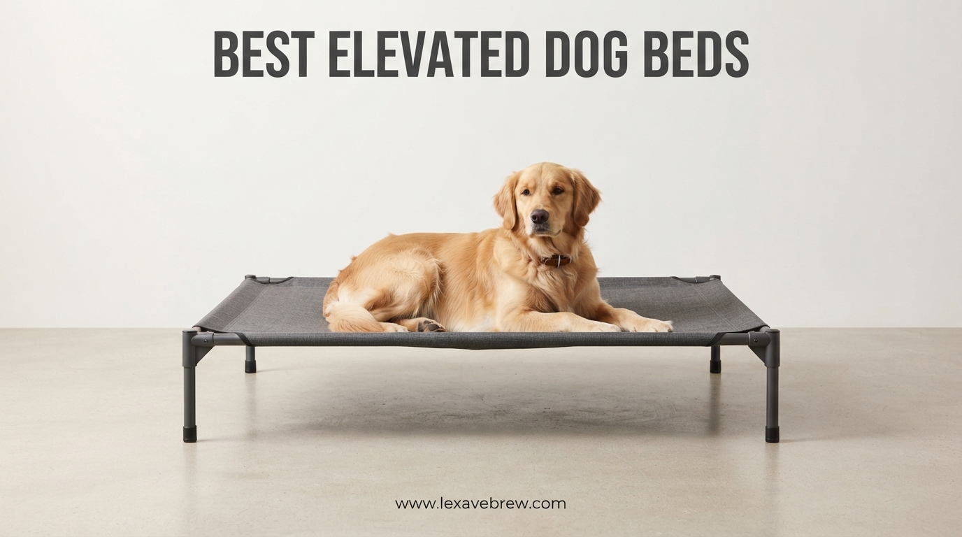 Best Elevated Dog Beds