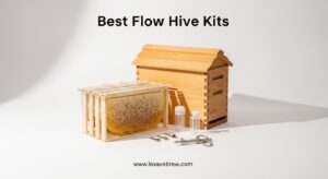 Best Flow Hive Kits