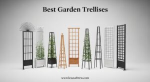 Best Garden Trellises