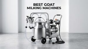 Best Goat Milking Machines