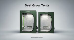 Best Grow Tents