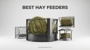 Best Hay Feeders