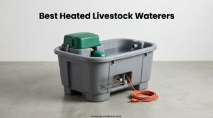 Best Heated Livestock Waterers