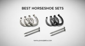 Best Horseshoe Sets