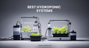 Best Hydroponic Systems