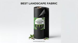 Best Landscape Fabric