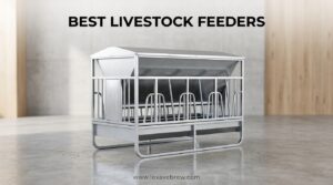 Best Livestock Feeders