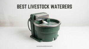 Best Livestock Waterers