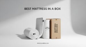 Best Mattress in a Box
