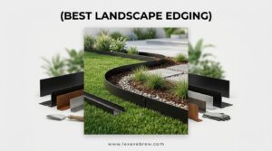 Best Metal Landscape Edging