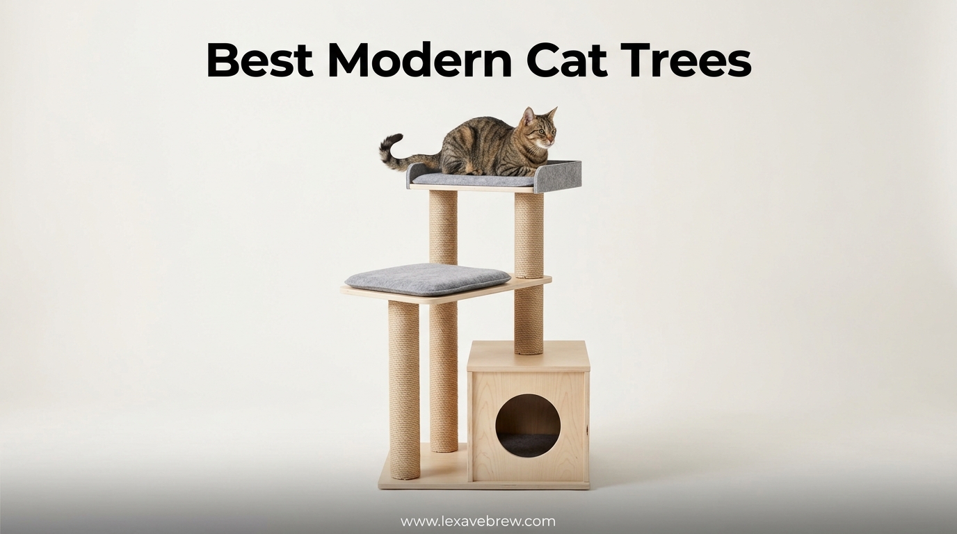 Best Modern Cat Trees