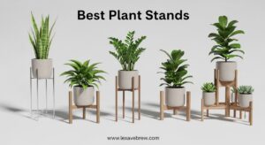 Best Plant Stands