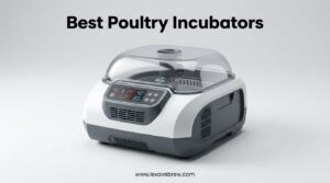 Best Poultry Incubators