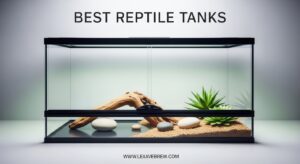 Best Reptile Tanks