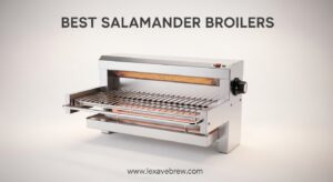 Best Salamander Broilers