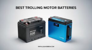 Best Trolling Motor Batteries