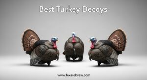 Best Turkey Decoys