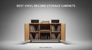 Best Vinyl Record Storage Cabinets