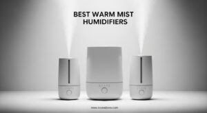 Best Warm Mist Humidifiers