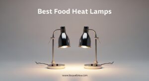 Best Food Heat Lamps