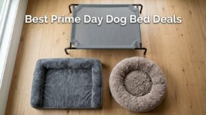 Best Amazon Prime Day Dog Bed Deals 2026