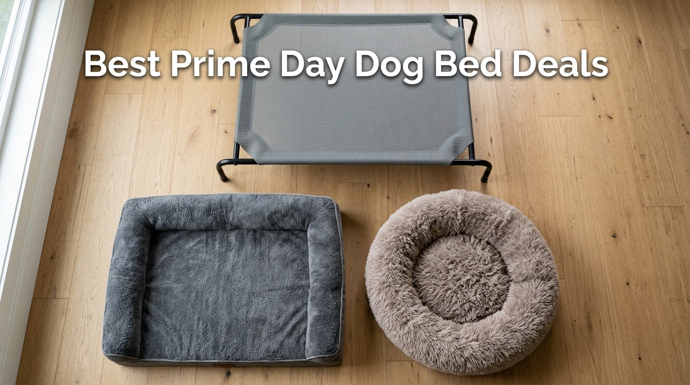 Best Amazon Prime Day Dog Bed Deals 2026