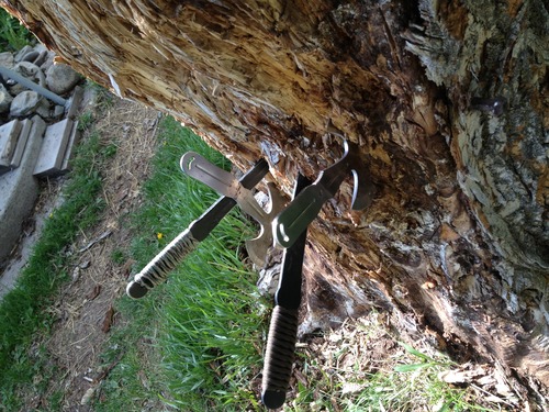True Flight Thrower customer photo 2