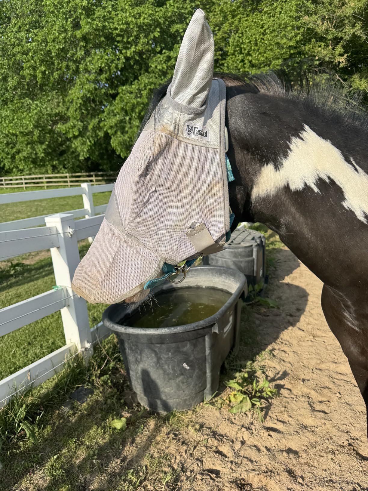 Cashel Crusader Fly Mask, Long Nose with Ears (Grey, Horse) customer photo 1