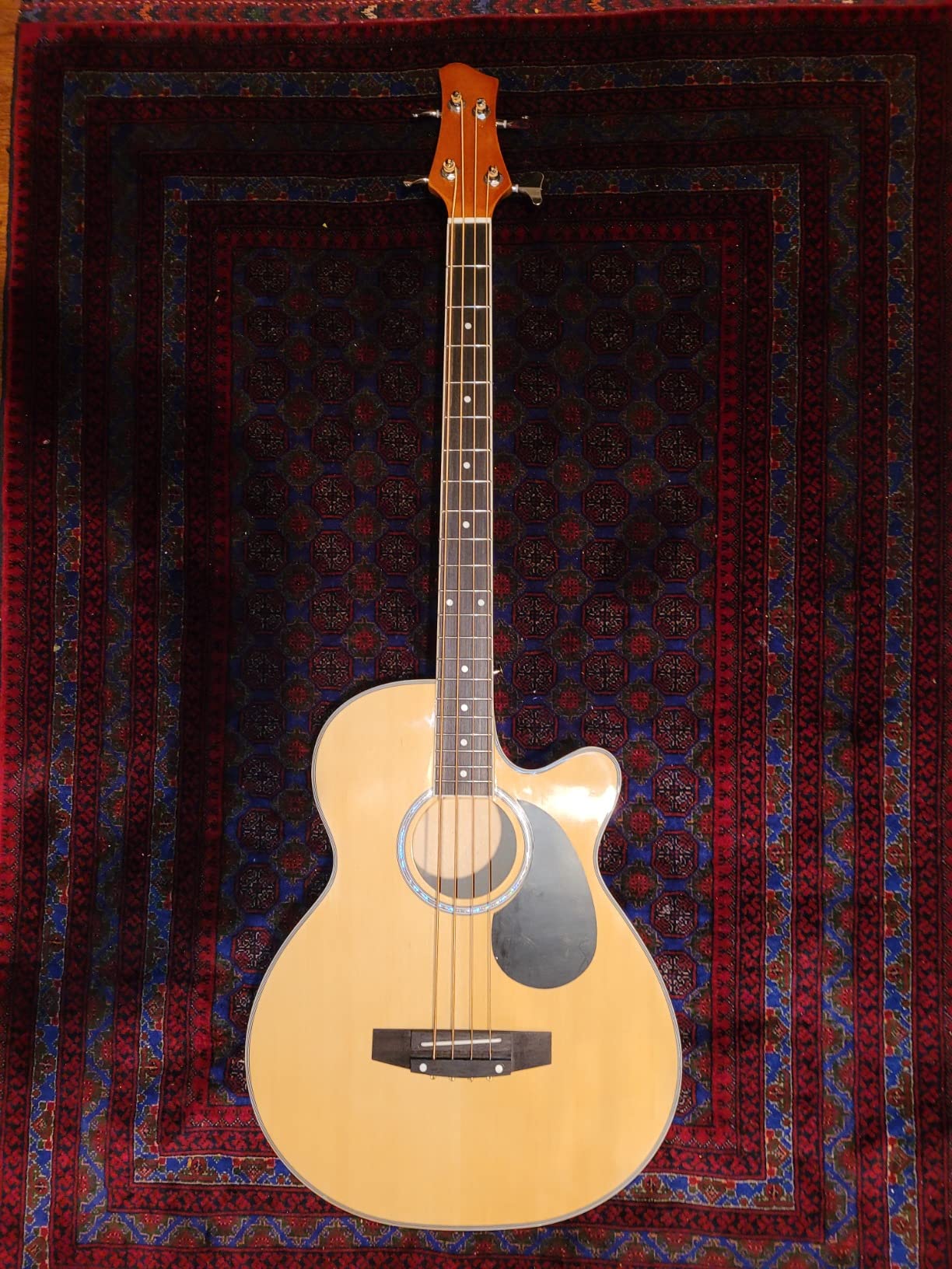Best Choice Products Acoustic Electric Bass Guitar, Full Size 4 String, Fretted Bass Guitar w/Padded Gig Bag - Blue customer photo 1