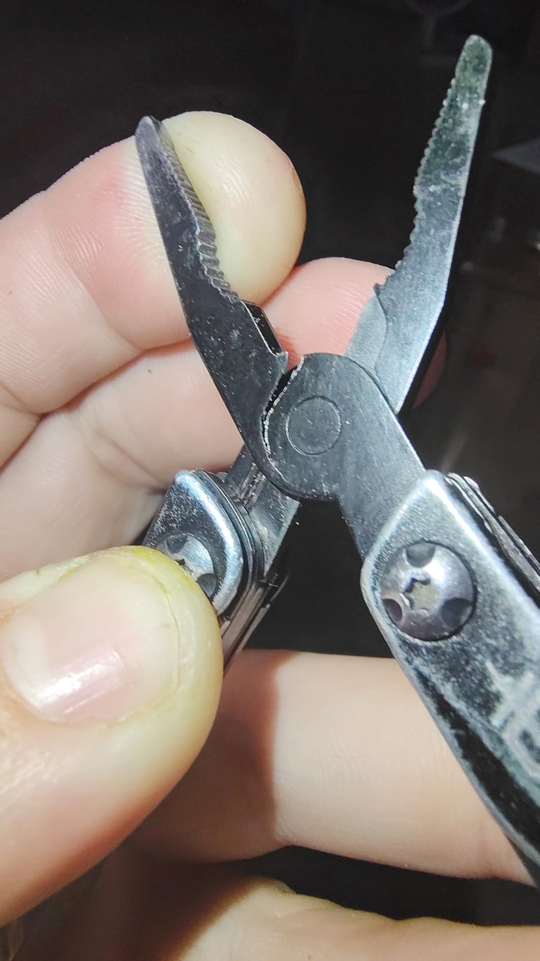 Gerber Dime 12-in-1 Mini Multitool Pliers, Pocket Knife, Bottle Opener, Red customer photo 2
