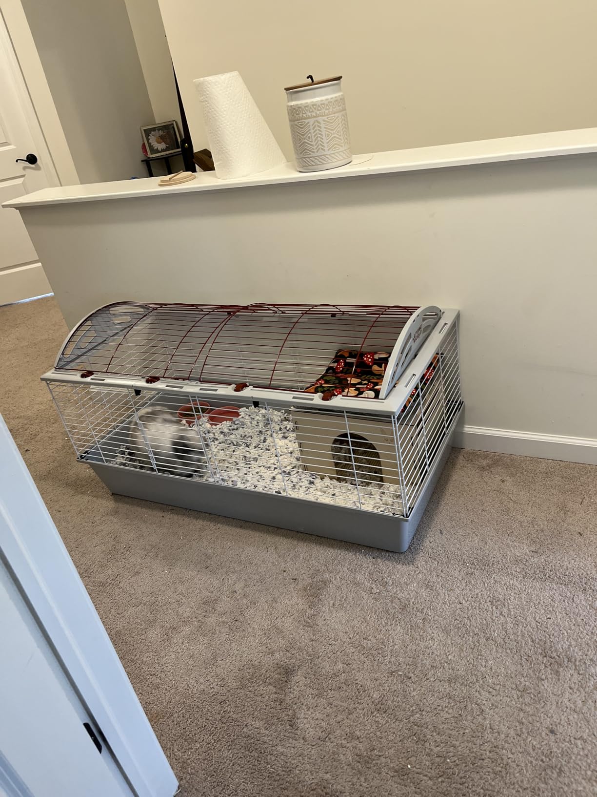 Living World - Deluxe Hybrid Habitat, X-Large - Rabbit, Guinea Pig, Chinchillas, and Small Animal Cage customer photo 2