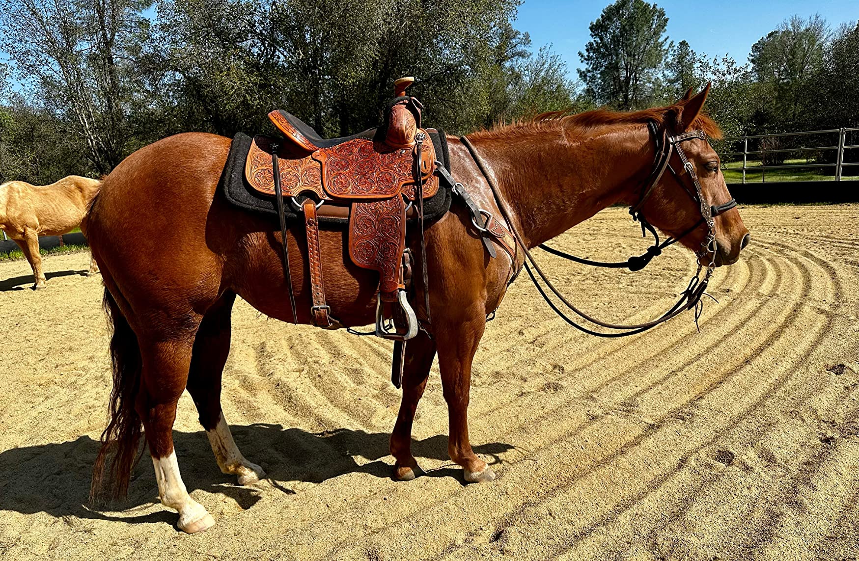 Contour Felt Ranch Pad 30X30 customer photo 1