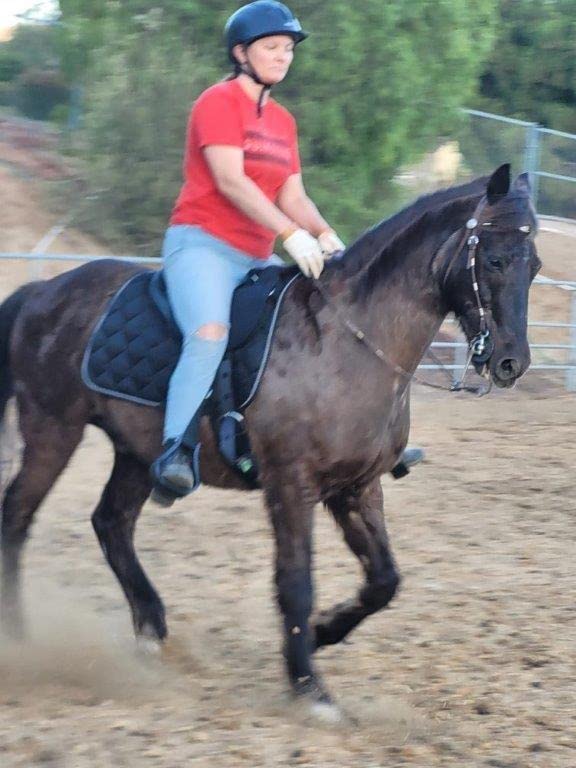 Mustang Western Soft Ride Saddle customer photo 1