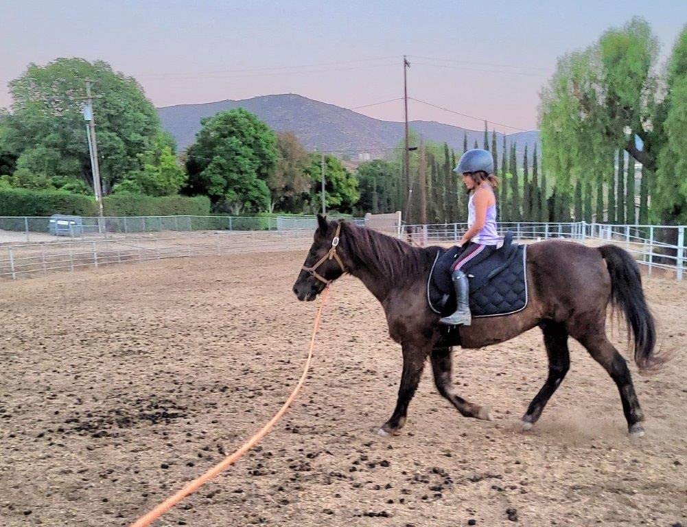 Mustang Western Soft Ride Saddle customer photo 2