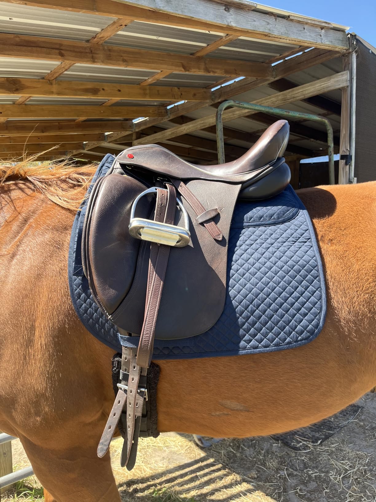 Contoured Correction Dressage Saddle Pad with Adjustable Memory Foam Shims, Quilted Poly-Cotton Design, Pressure Relief for Horses with Swayback or Muscle Loss customer photo 1