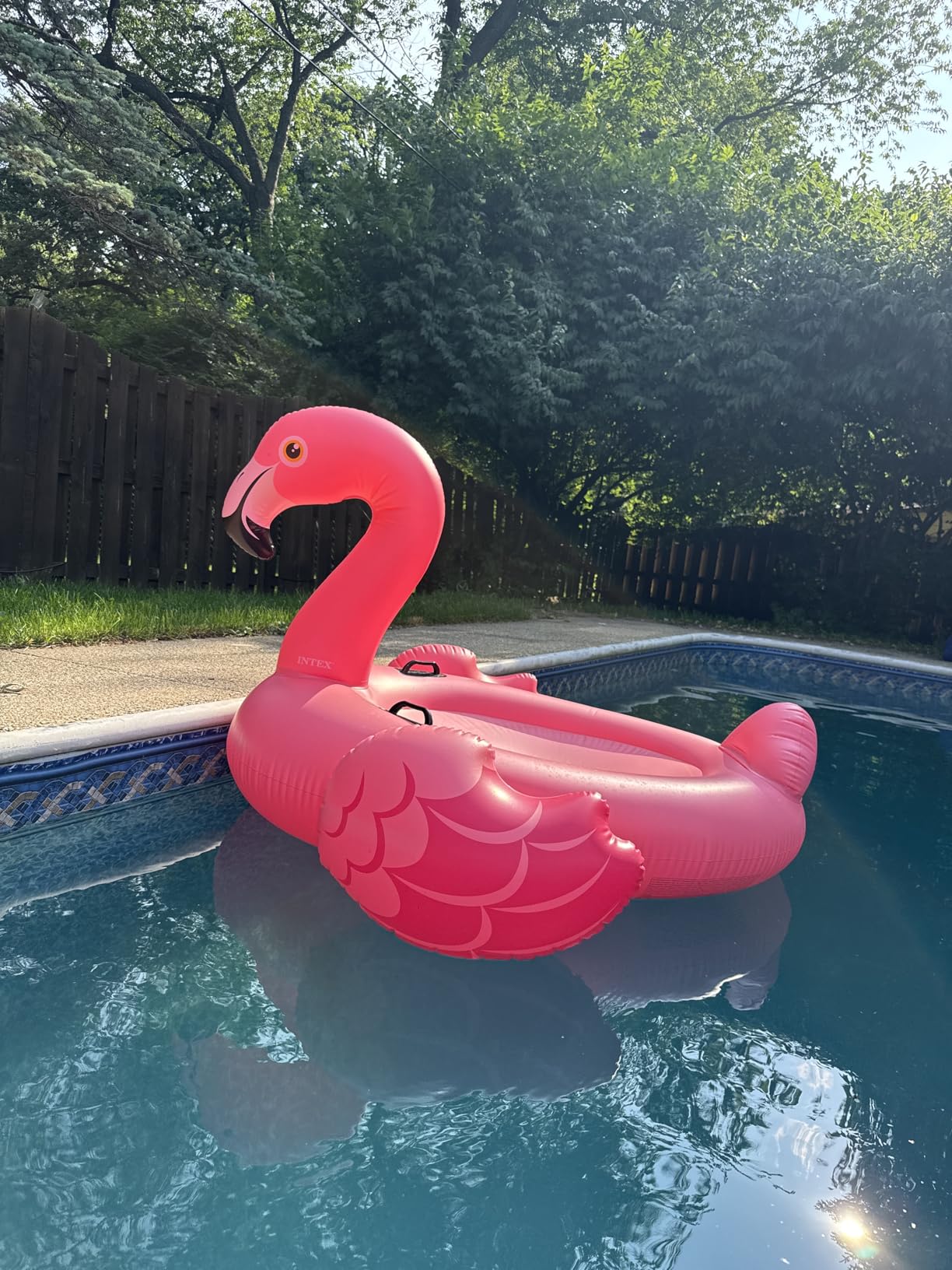 INTEX Inflatable Pool Float: Pool Toy for Kids customer photo 2
