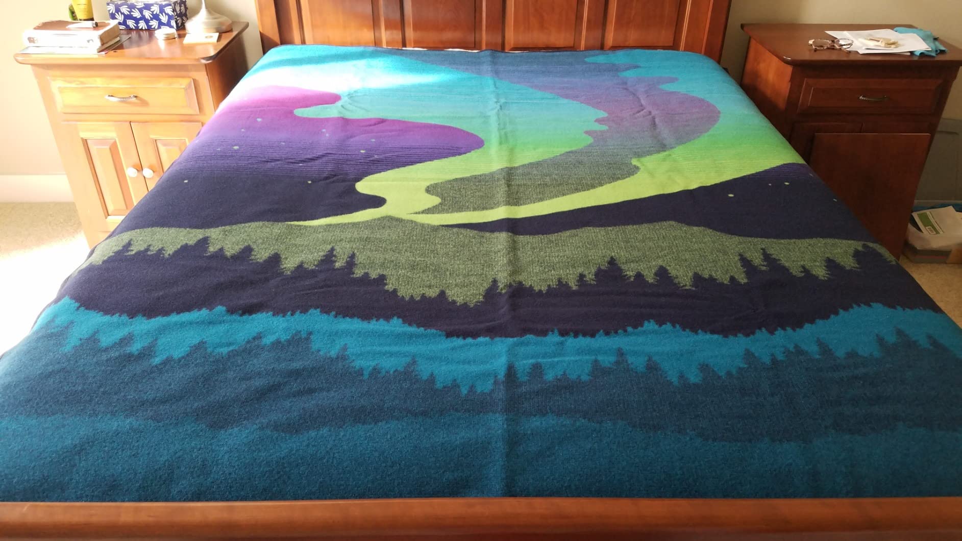 Pendleton Northern Lights Blanket customer photo 1