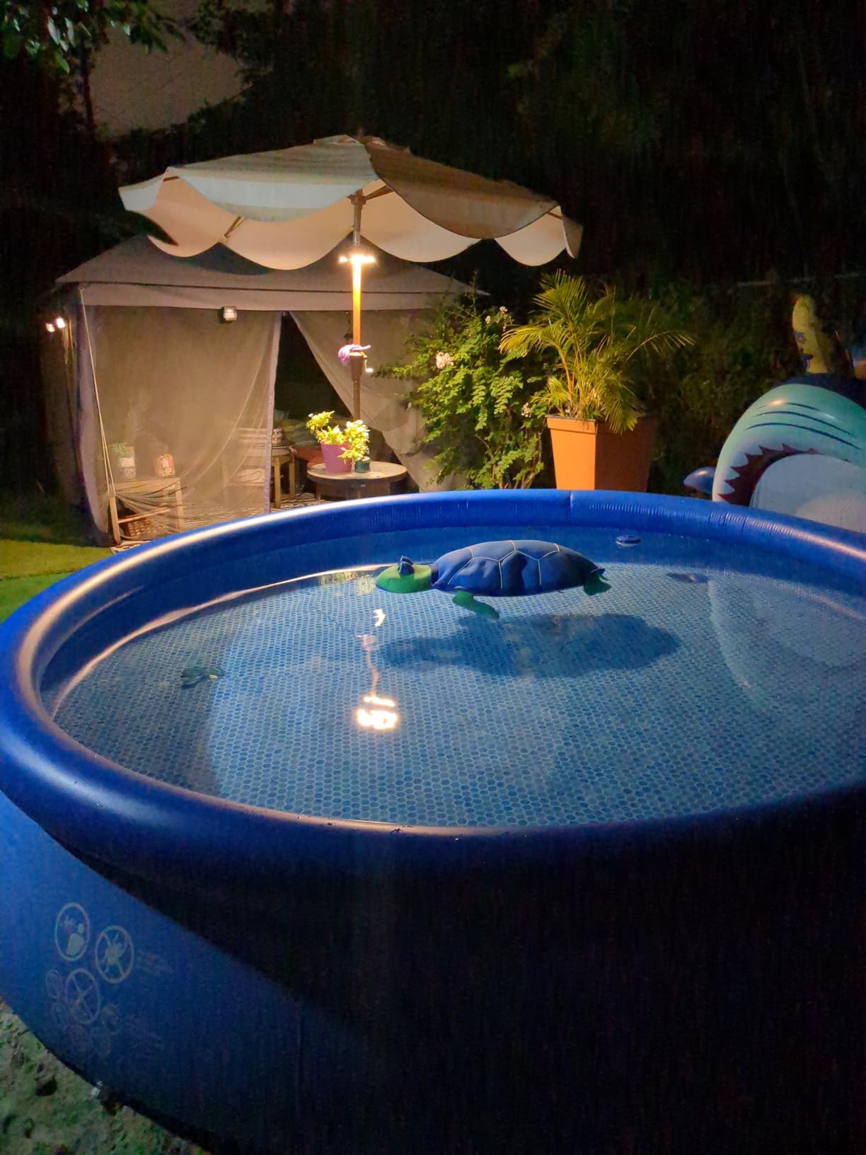 INTEX Easy Set 15 ft x 48in Above Ground Pool Set, Round Inflatable Swimming Pool with 1000 GPH Cartridge Filter Pump, Ladder, Cover, & Ground Cloth customer photo 2